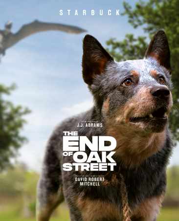 The End of Oak Street  
